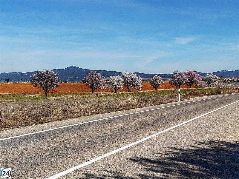 Amigos de la Tierra ataca los proyectos de energía solar en Campo de Romanos.
