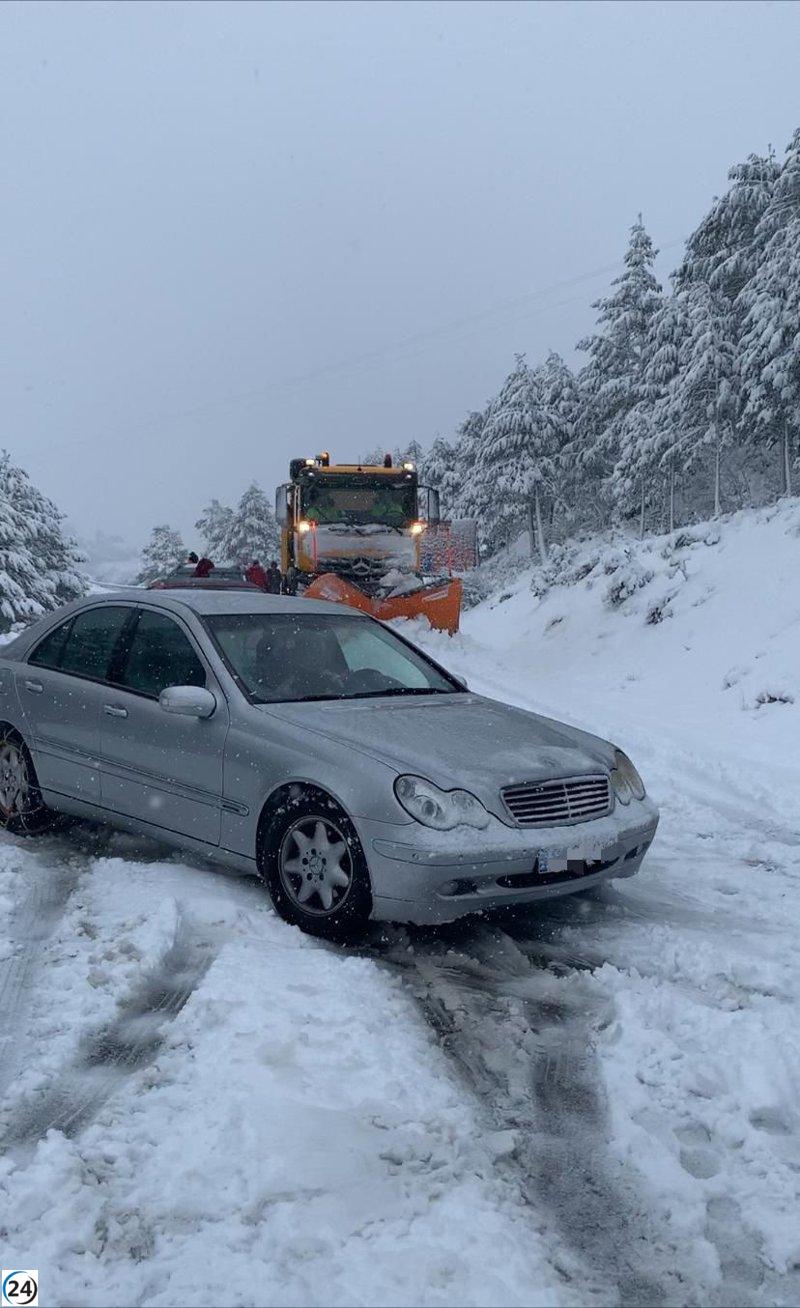 La nieve derriba árboles en carretera de Teruel entre Orihuela y Griegos.