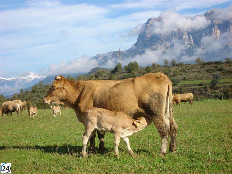 Proyecto de la UZ adapta sistemas pastorales del Pirineo al cambio climático en Europa.