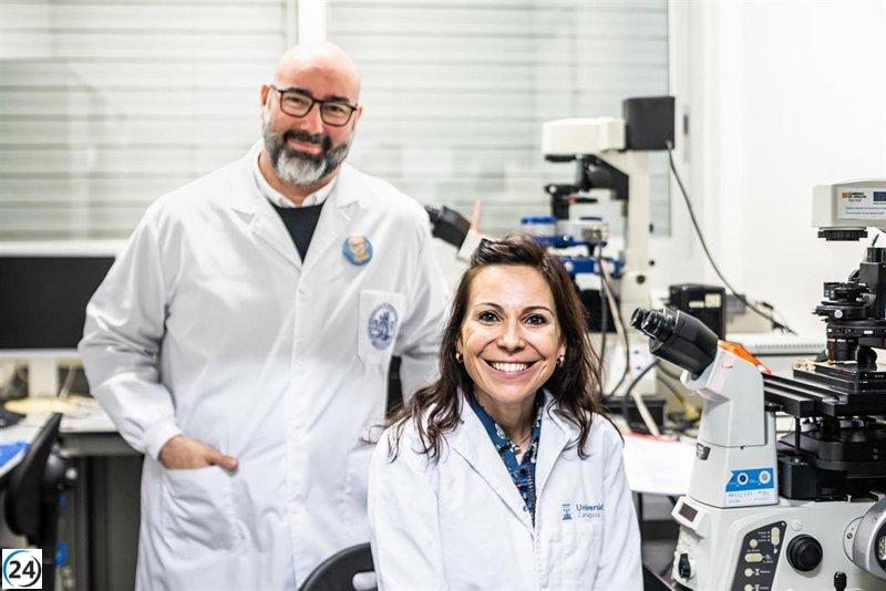 Investigadores de la UZ buscan aumentar la fertilidad en pacientes sobrevivientes de cáncer infantil