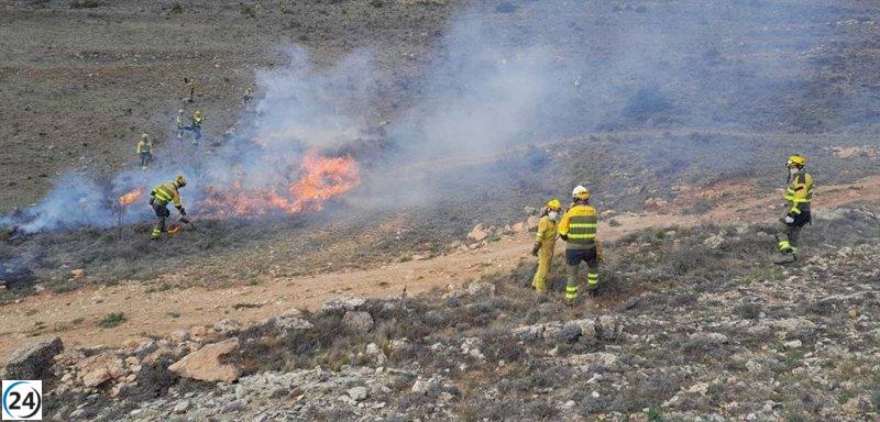 Finaliza el plazo para quemar cultivos y bosques en Aragón