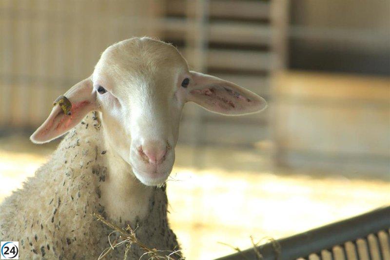 Apoyo del Gobierno de Aragón a la innovación tecnológica en la agricultura.