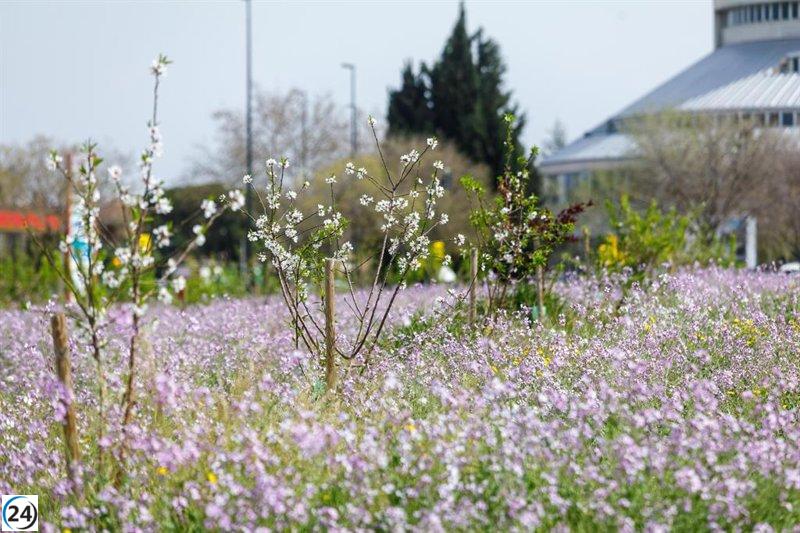 El proyecto El Bosque de los zaragozanos, finalista en premios de la UE