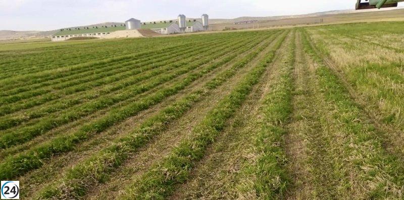 El MAPA asigna 24 millones de euros a Aragón para impulsar la agricultura y la ganadería.