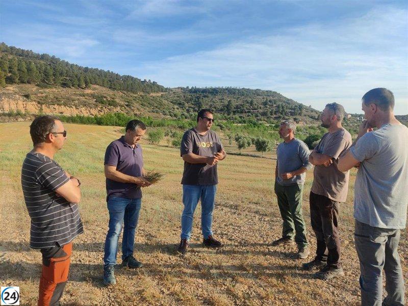 La sequía en Aragón afecta a 146.000 hectáreas de cereal según UAGA