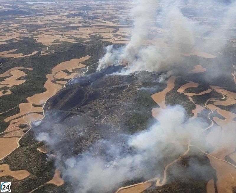 . Extensión de 83 hectáreas arrasadas por incendio en Zaragoza ahora bajo control.
