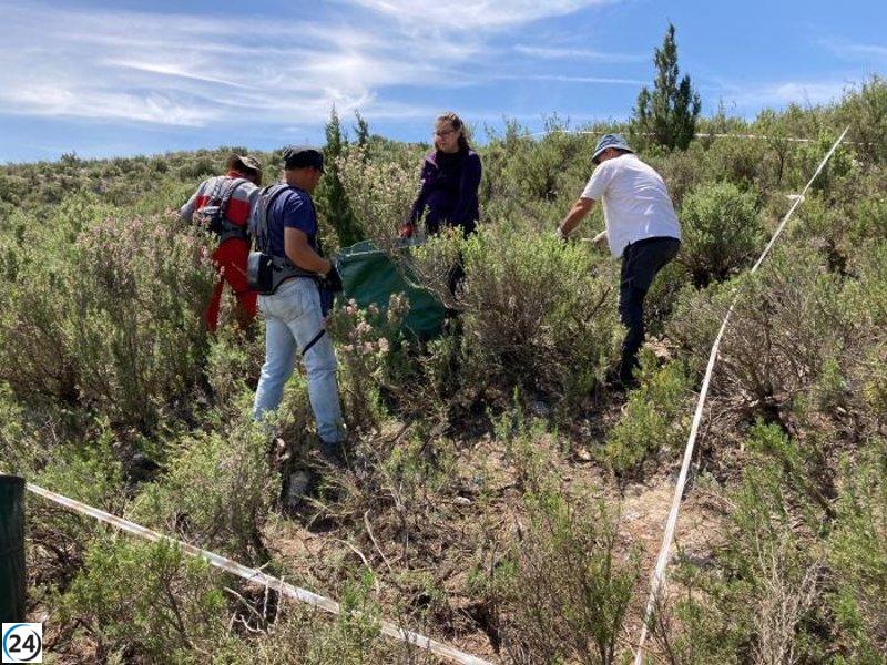 El CITA inicia pruebas de extracción de aceites esenciales de plantas aromáticas en proyecto CARUSO.
