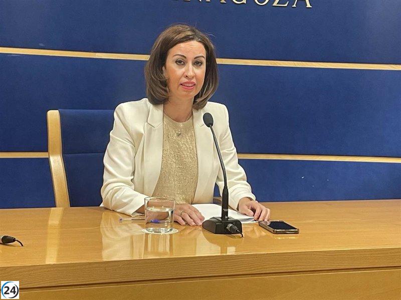 La DPZ destina 15 millones de euros a un Plan Agenda 2030 con incentivos para la videovigilancia municipal.