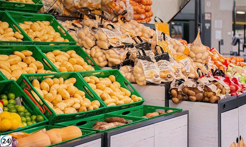 Mercadona se prepara para lanzar su campaña de invierno de patata nacional en 2025.