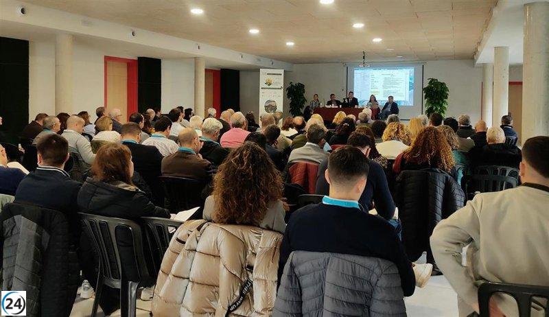 Aínsa y Huesca destacan como sede de la asamblea de los Pueblos Más Bellos de España.