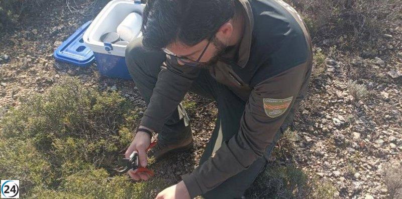 Aragón implementa un sistema exclusivo de medición de combustible para combatir incendios forestales.