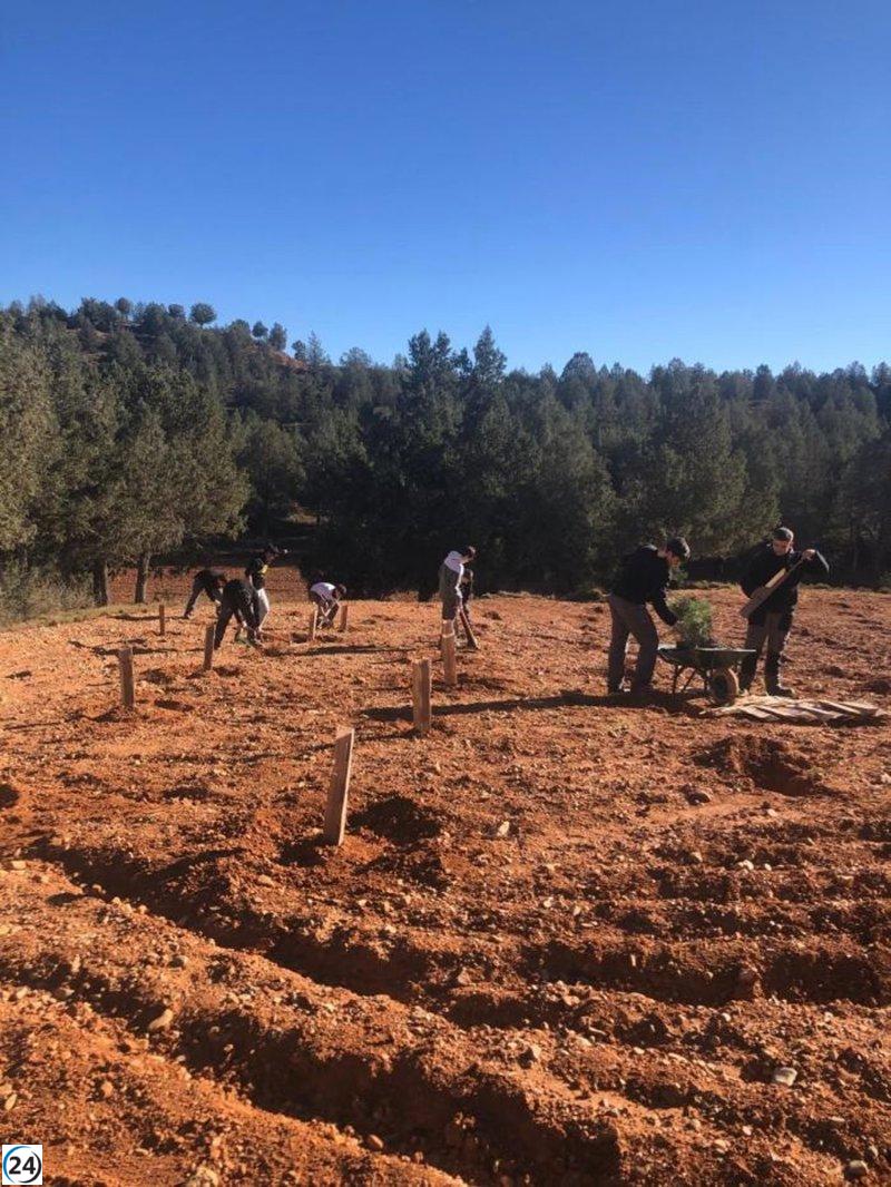 El Gobierno de Aragón prioriza la repoblación forestal para combatir el cambio climático.