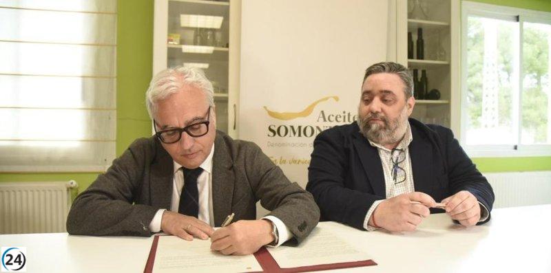 Aceite del Somontano logra protección nacional para su Denominación de Origen.