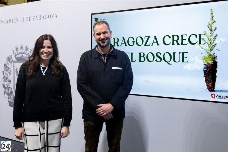 El Bosque de los Zaragozanos alcanzará más de 205.000 plantas este año.