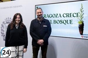 El Bosque de los Zaragozanos alcanzará más de 205.000 plantas este año.