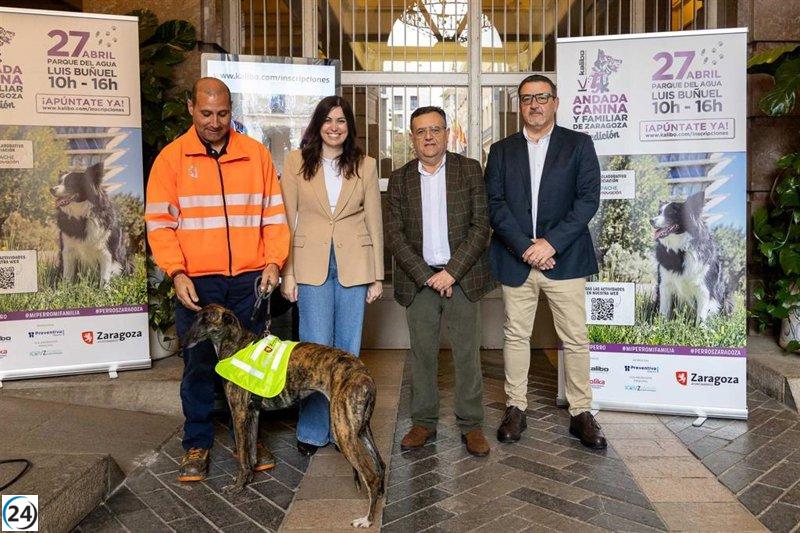 Zaragoza se prepara para la III Andada Canina y Familiar Kalibo 5K el 27 de abril en el Parque del Agua.