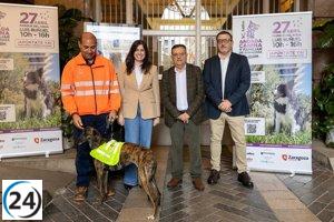 Zaragoza se prepara para la III Andada Canina y Familiar Kalibo 5K el 27 de abril en el Parque del Agua.