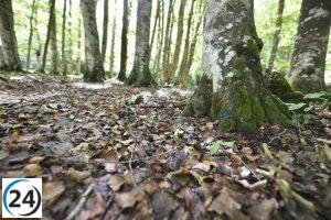 Un informe revela que el 83% de los aragoneses están alarmados por el deterioro de los bosques y sus efectos.