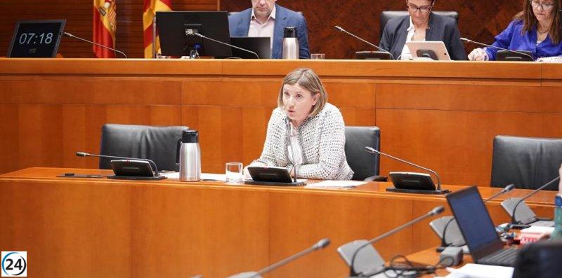 Progreso en la formación del Consejo Aragonés de Voluntariado: