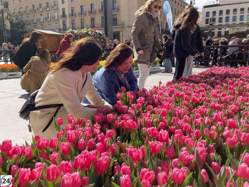Este sábado, Zaragoza acoge el mercado solidario de tulipanes en el evento Hola Primavera, a favor de la AECC.