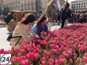 Este sábado, Zaragoza acoge el mercado solidario de tulipanes en el evento Hola Primavera, a favor de la AECC.
