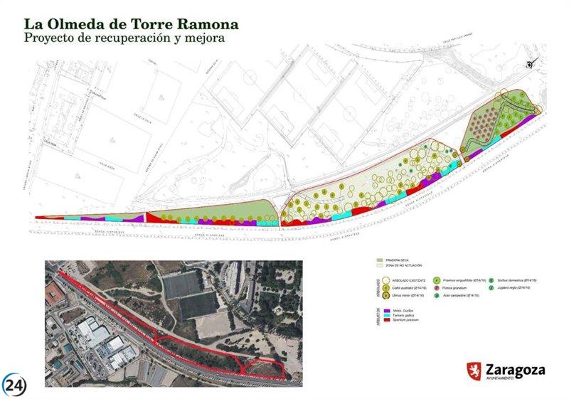 Se aprueba el proyecto para convertir la Olmeda de Torre Ramona en un bosque urbano de 2,2 hectáreas.