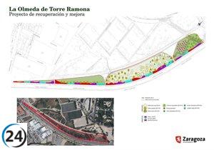 Se aprueba el proyecto para convertir la Olmeda de Torre Ramona en un bosque urbano de 2,2 hectáreas.