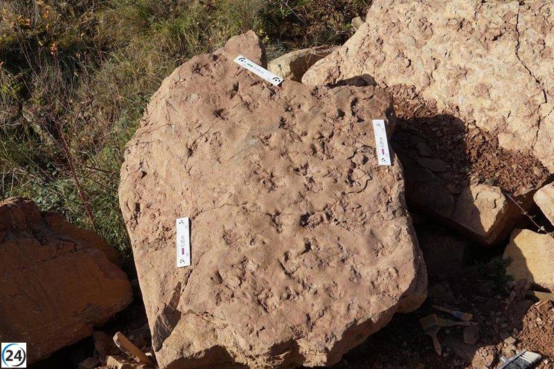 Descubrimiento en Anzánigo: un deslizamiento revela huellas de mamíferos de hace 30 millones de años.