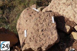 Descubrimiento en Anzánigo: un deslizamiento revela huellas de mamíferos de hace 30 millones de años.