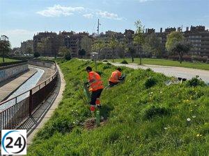 Huesca y la Universidad de Zaragozaembellecen el Parque Universidad con 90 nuevos árboles ribereños.