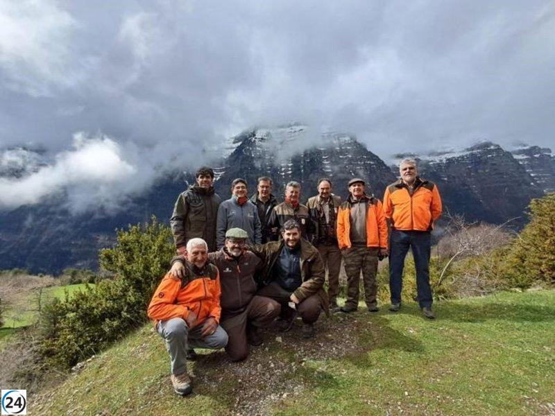Restauran 280 hectáreas para preservar el hábitat del urogallo.