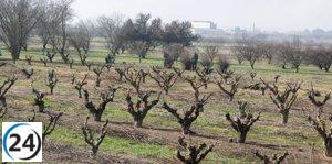 Aragón considera impugnar ante el Tribunal Supremo el decreto del Ministerio de Agricultura sobre ayudas a la sequía.