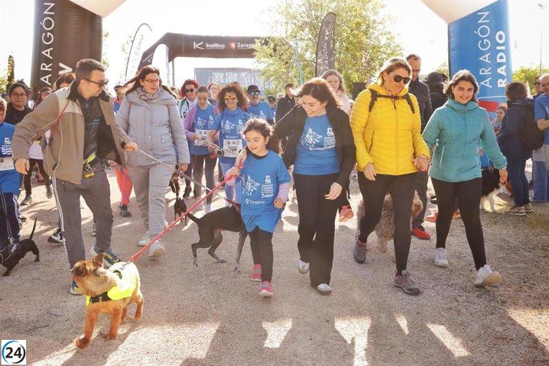 Éxito en Zaragoza: Más de 2.000 personas y 1.000 mascotas en la III Andada Canina Kalibo 5K.