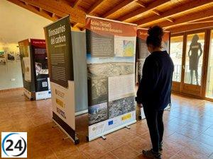 Mayo en Gargallo: exposición de dinosaurios del carbón abierta al público