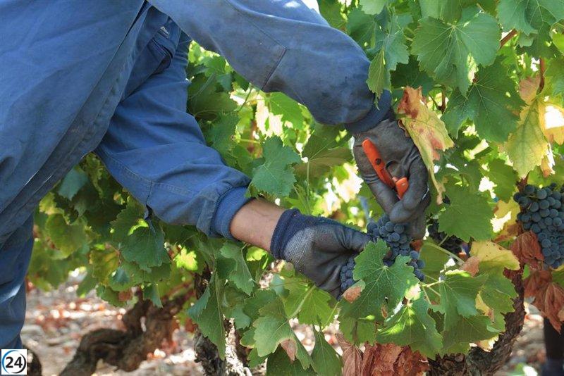 Reporteros de EE.UU. y Europa llegan a Zaragoza para explorar la Capital Mundial de la Garnacha.