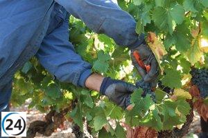 Reporteros de EE.UU. y Europa llegan a Zaragoza para explorar la Capital Mundial de la Garnacha.