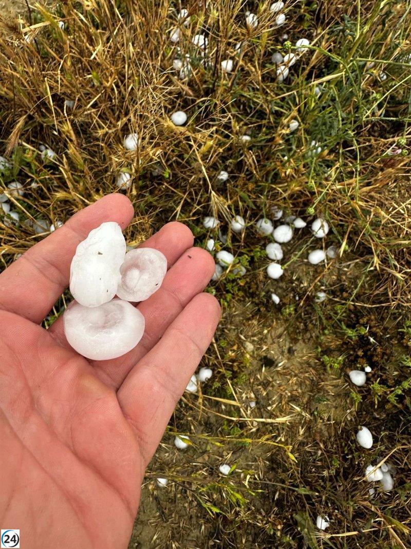 Grandes daños en cultivos: granizo afecta 14.000 hectáreas de cereal en Jiloca, Monegros y Campo de Belchite.