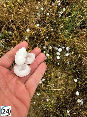 Grandes daños en cultivos: granizo afecta 14.000 hectáreas de cereal en Jiloca, Monegros y Campo de Belchite.