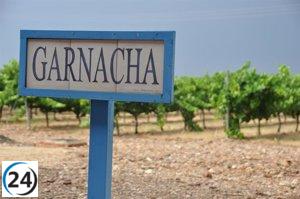 Cariñena celebra el XIII Concurso de Garnachas del Mundo con la participación de vinos de tres continentes.