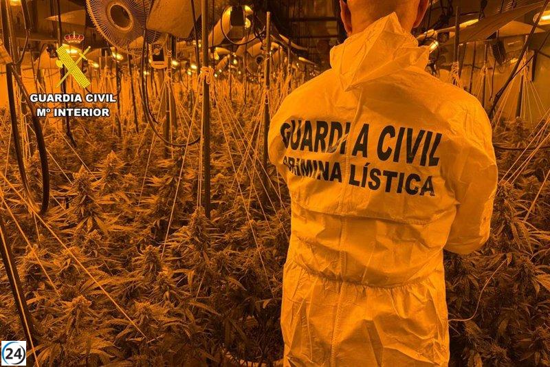 Cuatro cultivadores de marihuana arrestados tras fuga por los tejados de Cadrete, Zaragoza.