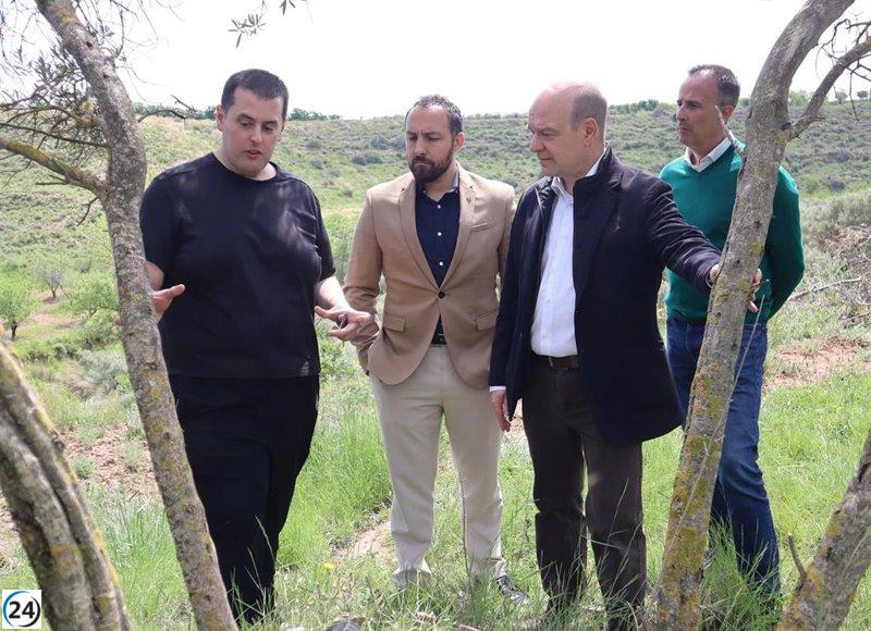 Vox reclama protección para olivares históricos ante el crecimiento desmedido de grandes parques de energías renovables.