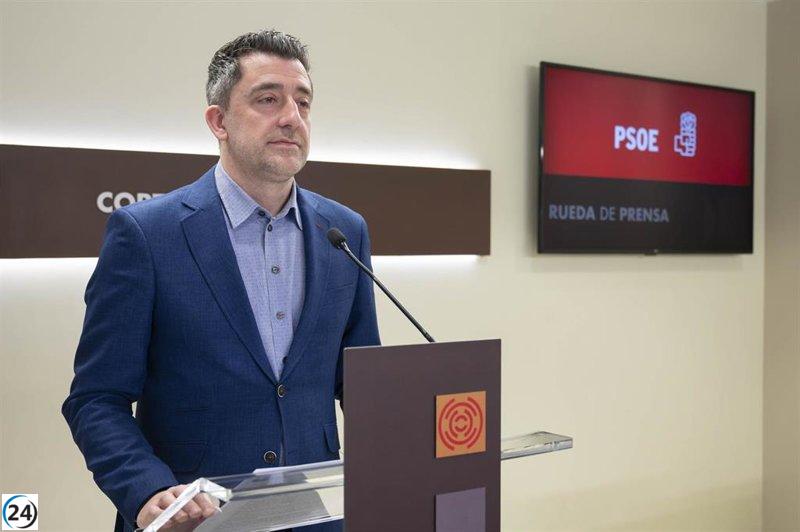 Carpi (PSOE) asegura que las infraestructuras sanitarias aún no se han materializado.