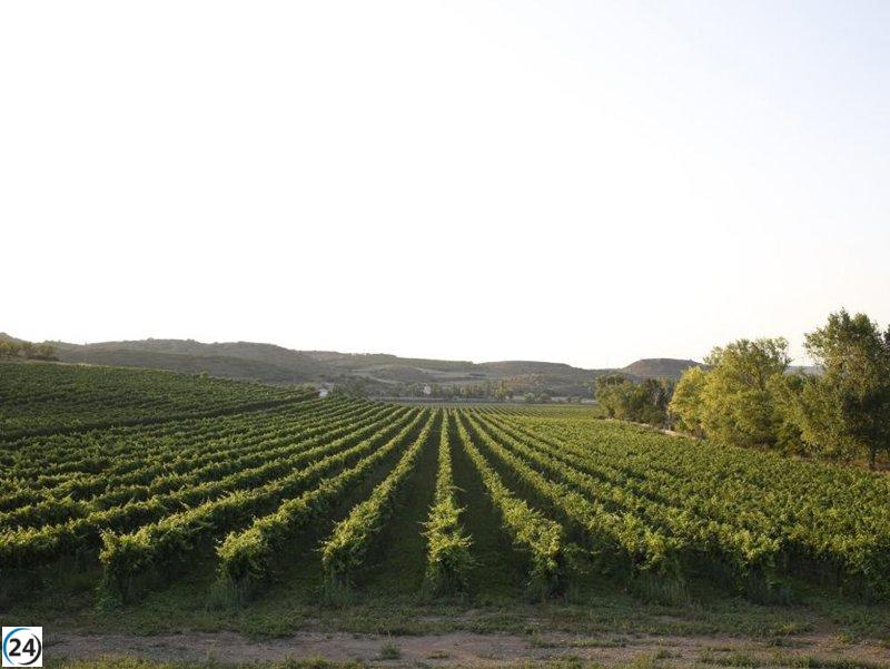 Aragón invertirá 1,4 millones en apoyo a agricultores y ganaderos en 2025.