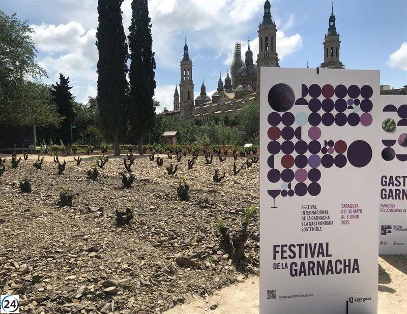 Inaugura este fin de semana el I Festival Internacional de la Garnacha, que se llevará a cabo hasta el 8 de junio.