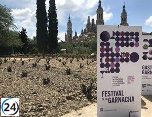 Inaugura este fin de semana el I Festival Internacional de la Garnacha, que se llevará a cabo hasta el 8 de junio.