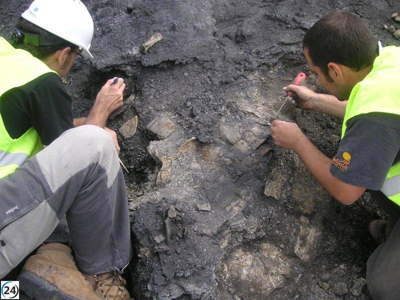 Hallan en Teruel el esqueleto de tortuga más completo de Europa, datado en 110 millones de años.