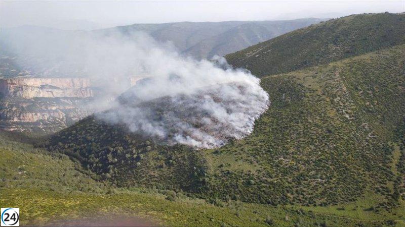 Rayo provoca incendio que devora tres hectáreas de vegetación en Belsué, Huesca.