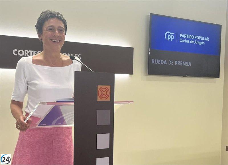 Marín (PP) afirma que la atención médica estará asegurada en Aragón durante el verano.