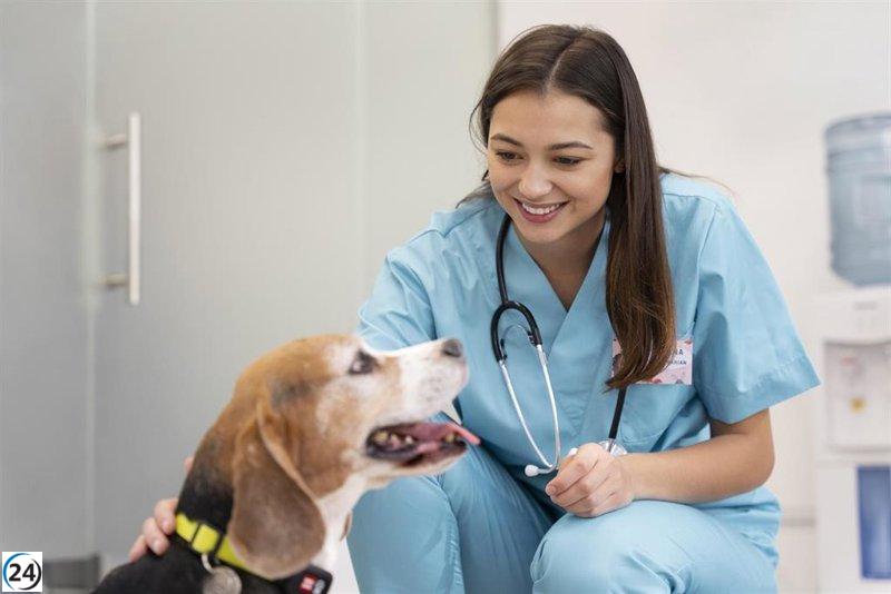 DPZ lanza programa de apoyo al autoempleo de mujeres con 400.000 euros en ayudas.