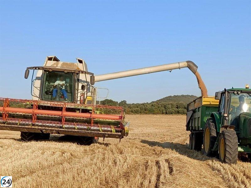 Aragón destinará más de 24,5 millones de euros para modernizar el sector y fomentar el relevo generacional en 2025.